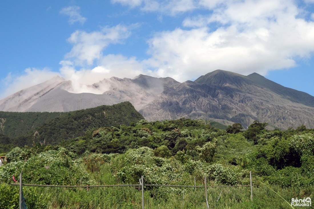 Cratères de Sakurajima