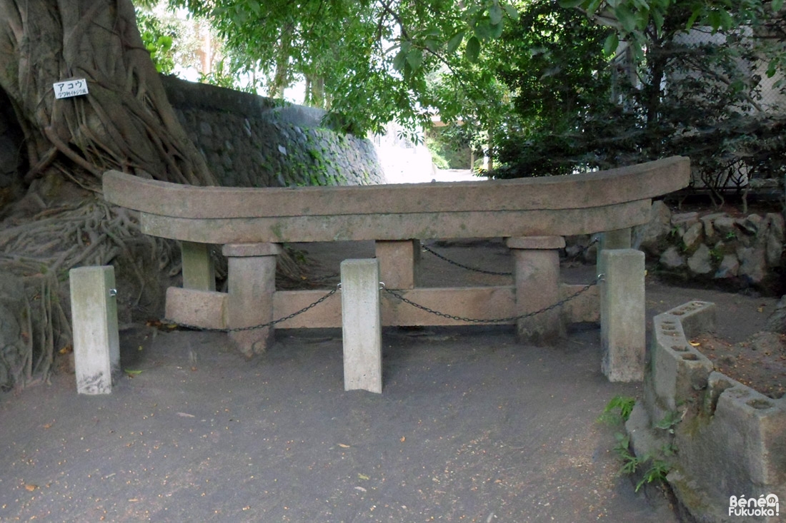 Torii enfoui, Sakurajima