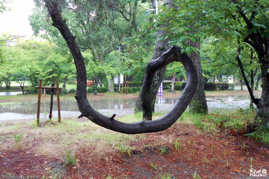 Sanctuaire Mihashira, Yanagawa, préfecture de Fukuoka