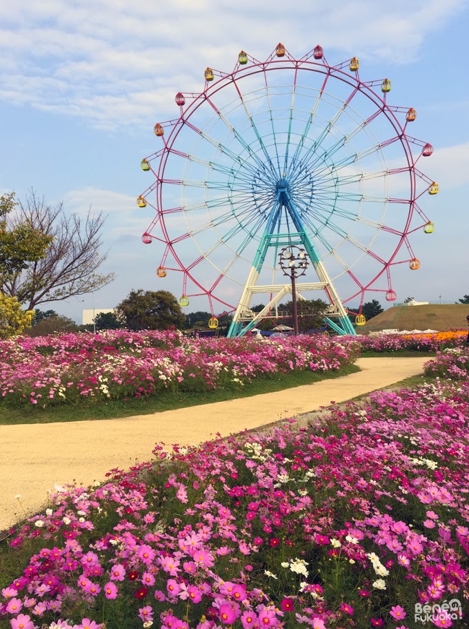 grande roue Umi no naka-michi - Fukuoka