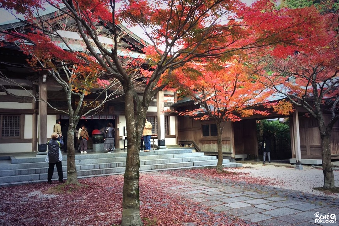 Erables du temple Nomiyama Kannon-ji, Fukuoka