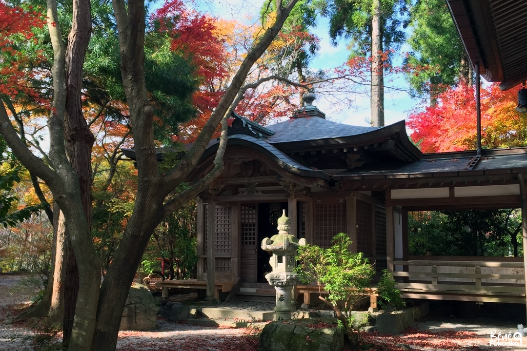 Erables du temple Nomiyama Kannon-ji, Fukuoka