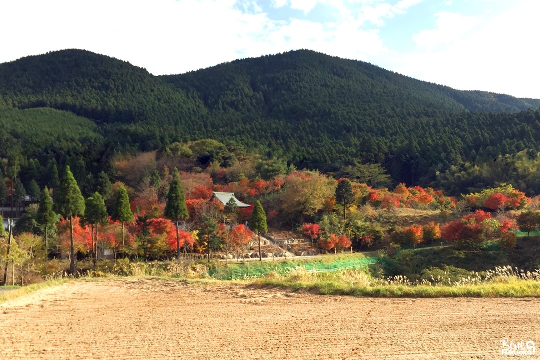 Temple Nomiyama Kannon-ji, Fukuoka