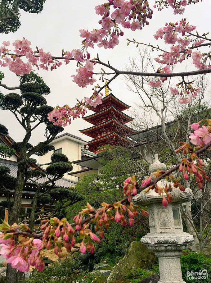 Pagode et fleurs de pruniers, Daien-ji, Fukuoka