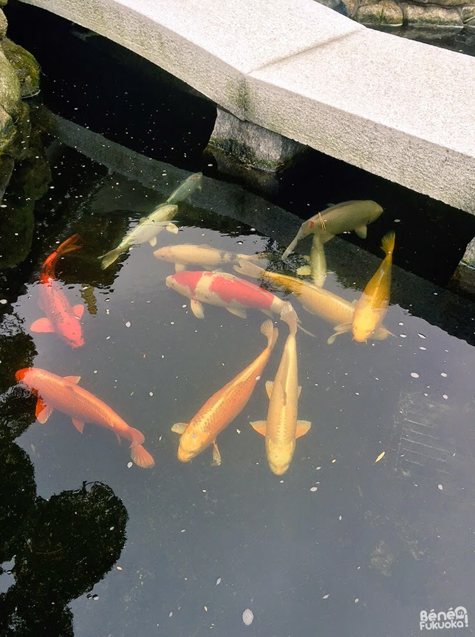 Daien-ji, Fukuoka