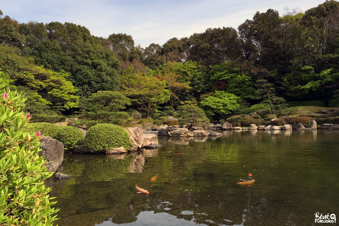 Le jardin japonais du parc Ôhori, Fukuoka