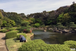Le jardin japonais du parc Ôhori