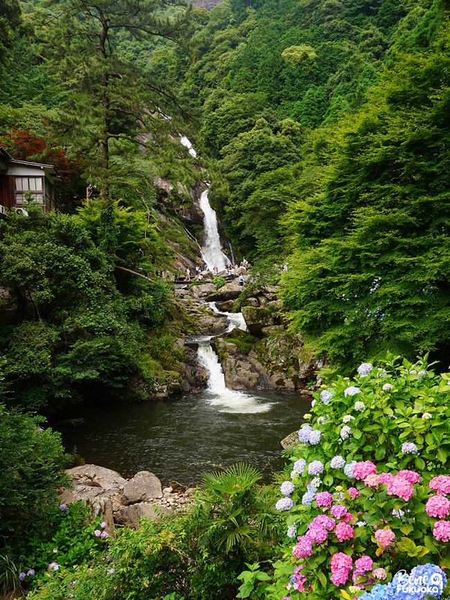 Casade Mikaeri, Karatsu, préfecture de Saga