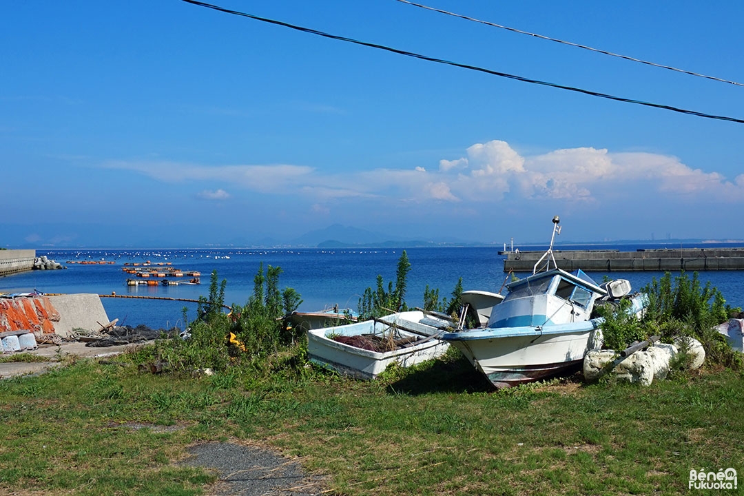 Ainoshima, l' île aux chats de Fukuoka