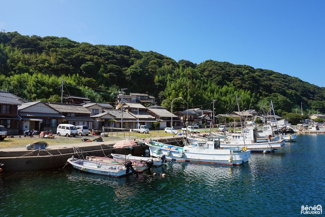 Ainoshima, l' île aux chats de Fukuoka