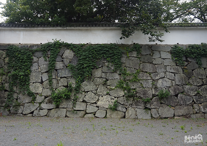 Château de Fukuoka - Fukuoka Walks Château de Fukuoka - Fukuoka Walks