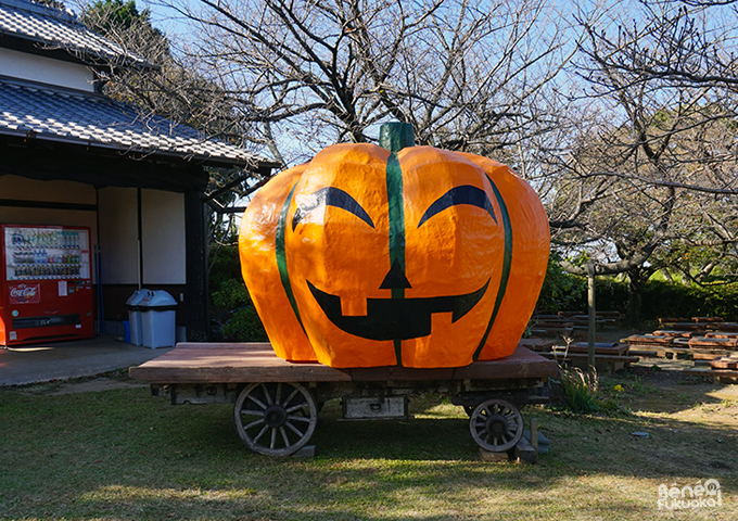 Nokonoshima, Fukuoka