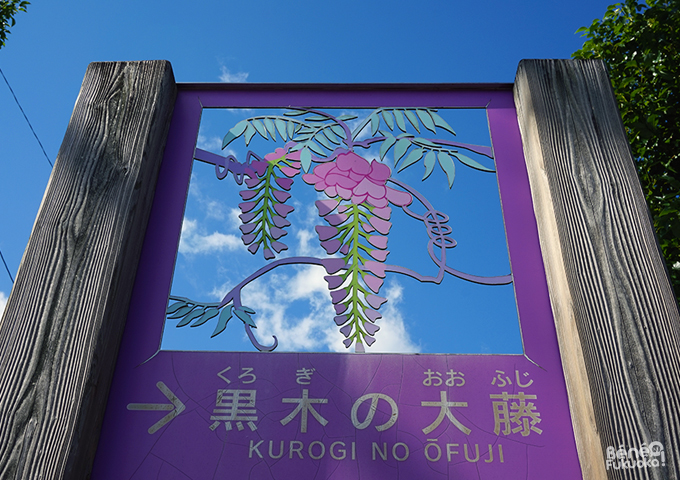 Kurogi-machi, Yame, Fukuoka Kurogi-machi, Yame, Fukuoka