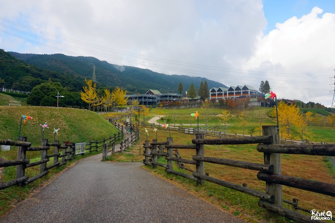 Mô Mô Land, une ferme à Fukuoka