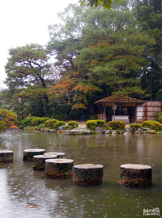Momiji au Jardin du sanctuaire Heian, Kyôto