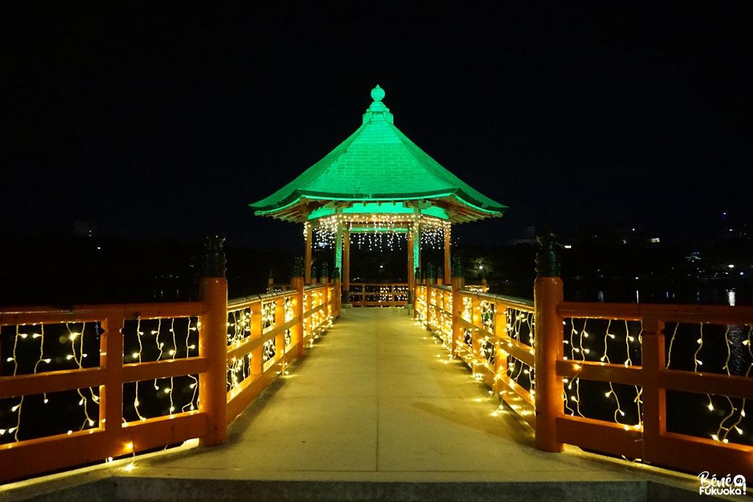 Les illuminations du parc Ôhori, Fukuoka