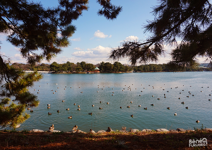 Parc Ohori, Fukuoka