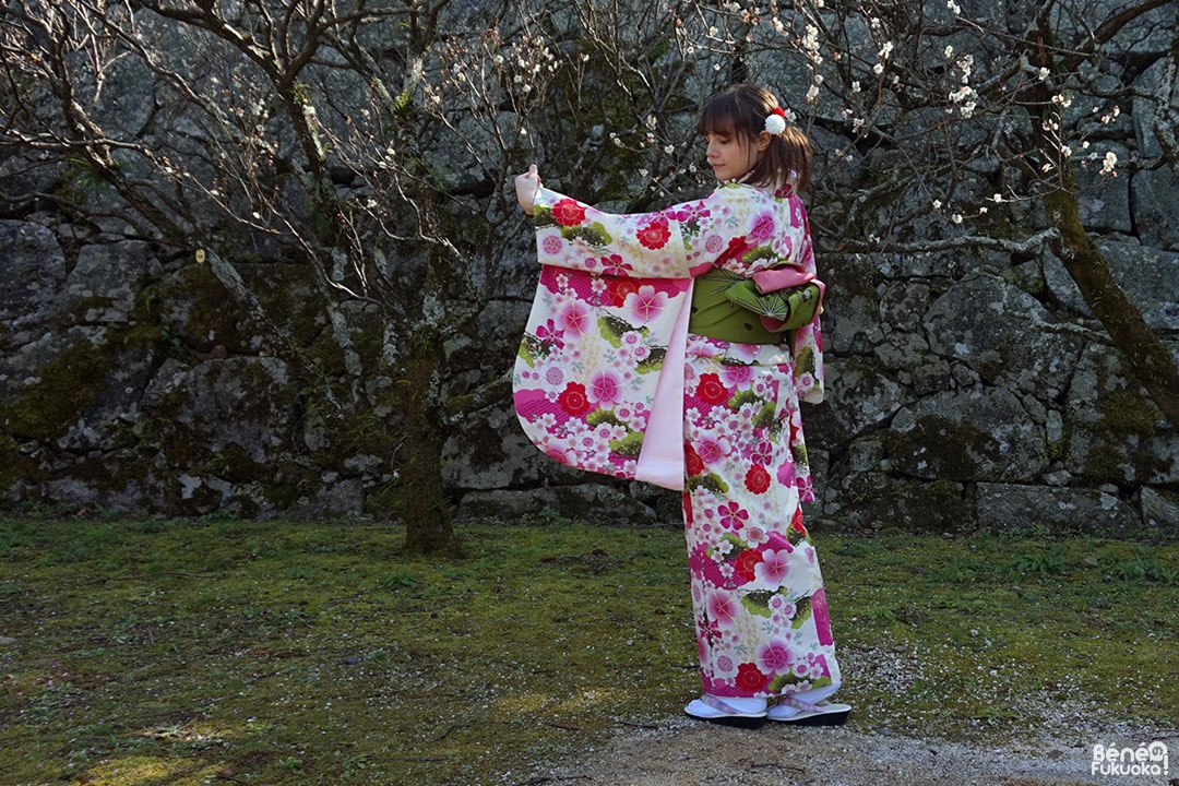 kimono-maizuru