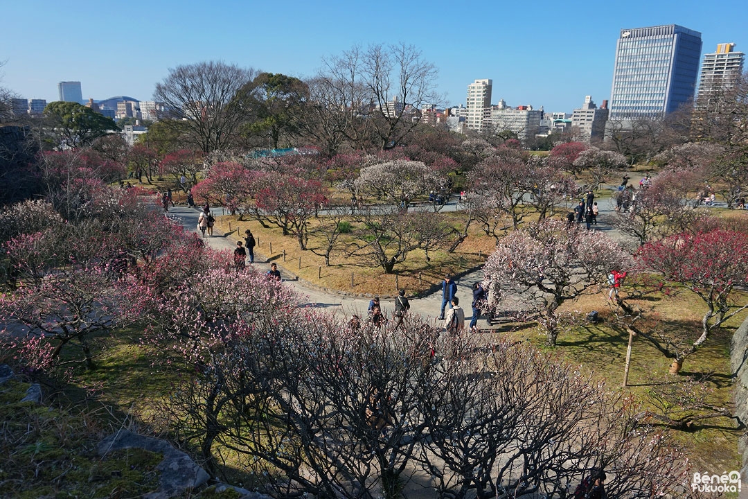 Parc Maizuru, Fukuoka