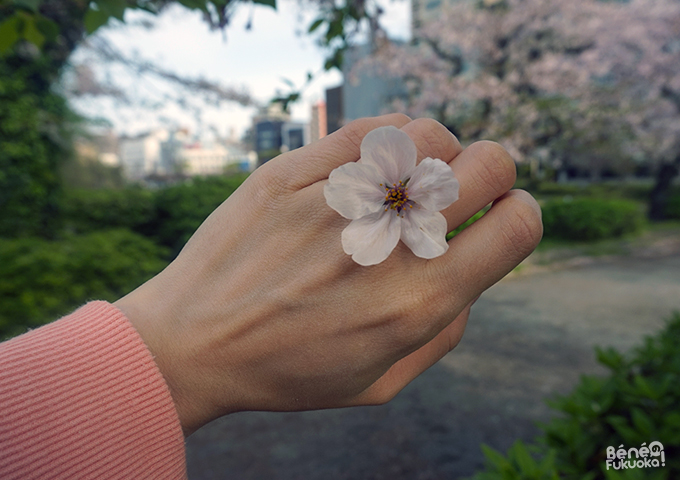 Bague fleur de cerisier