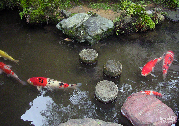 Jardin japonais à Kanazawa