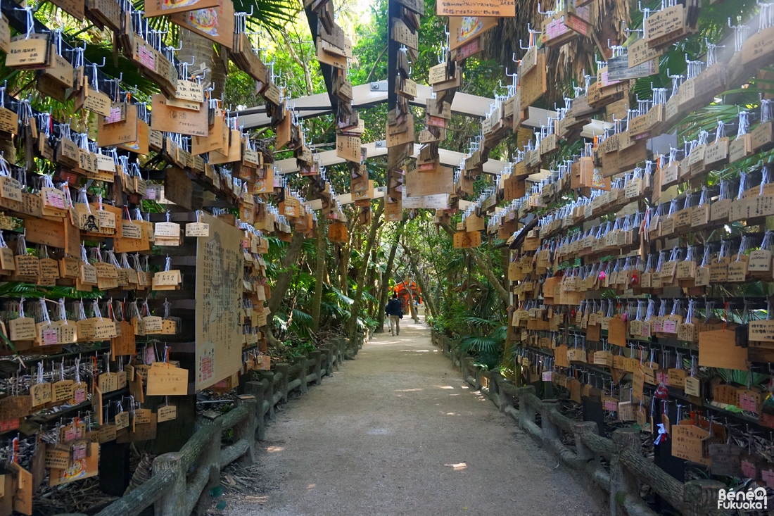 Sanctuaire Aoshima, Miyazaki