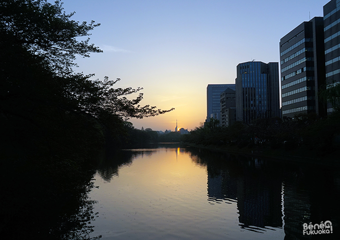Coucher de soleil depuis le parc Maizuru