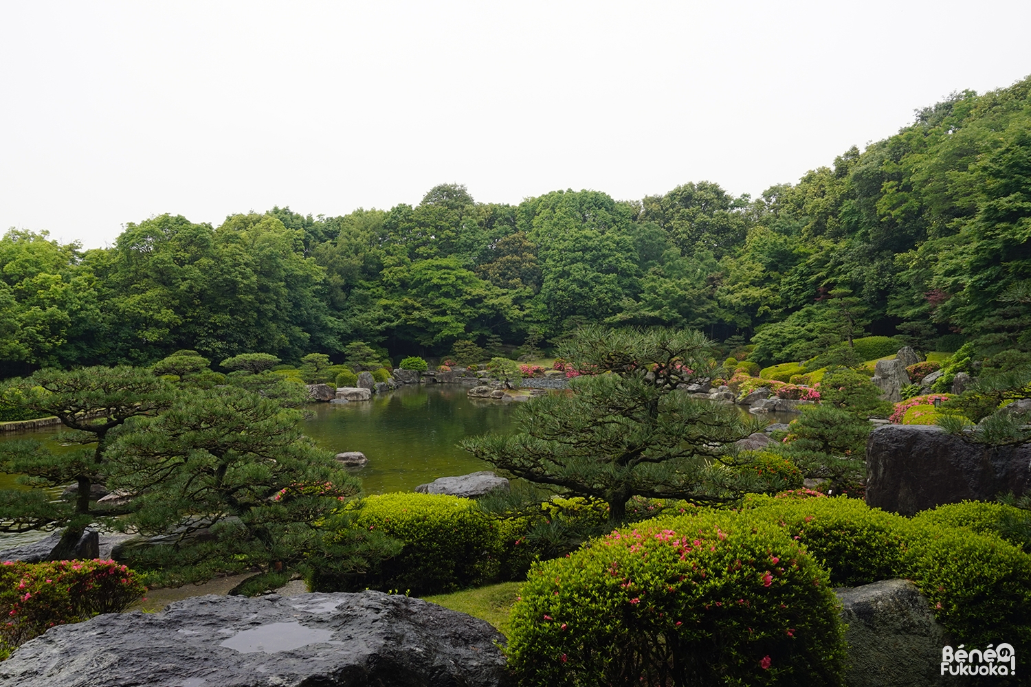 Jardin japonais, parc Ôhori, Fukuoka