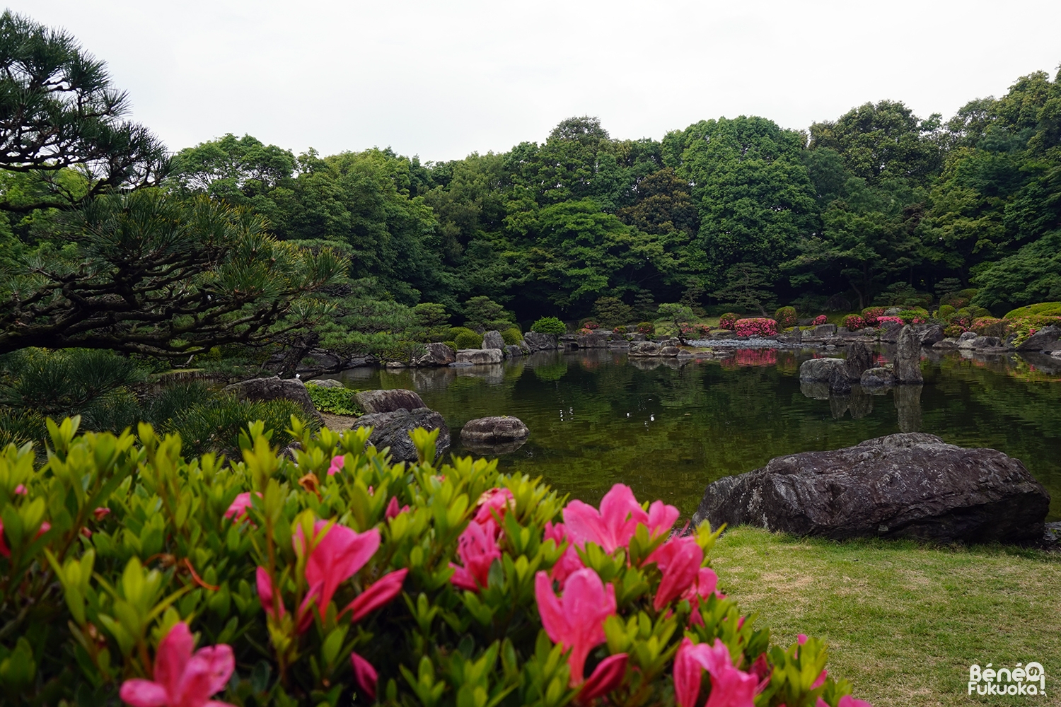 Jardin japonais, parc Ôhori, Fukuoka