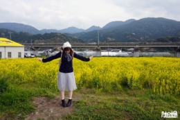 Béné, champ de colza à Fukuyoshi