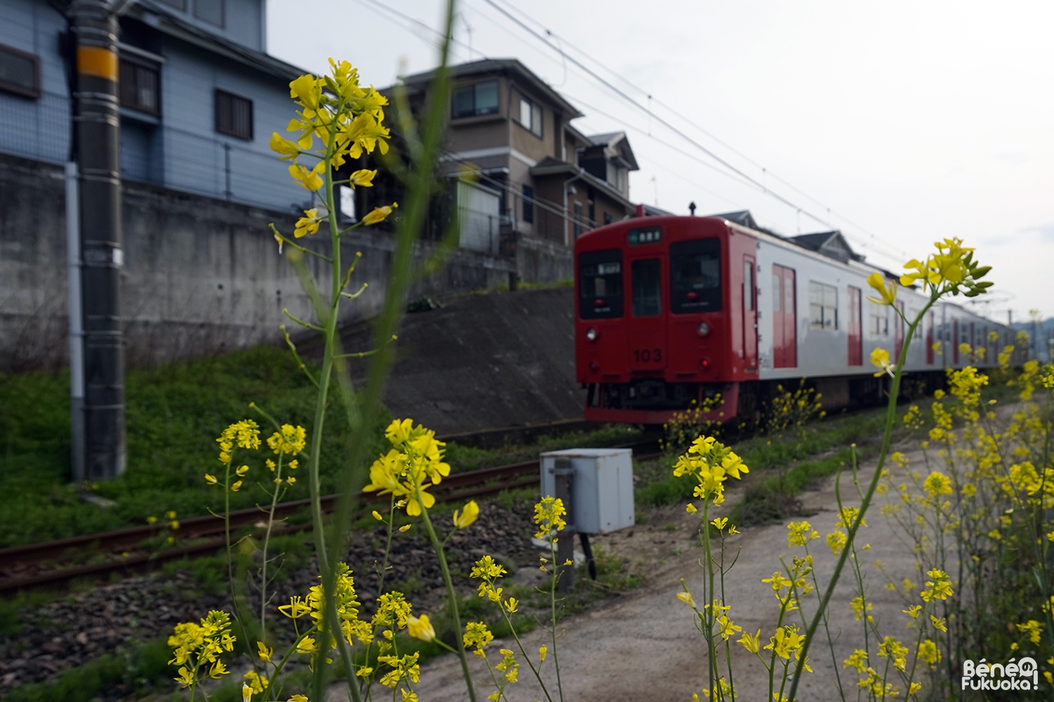 JR Chikuhi, Fukuyoshi