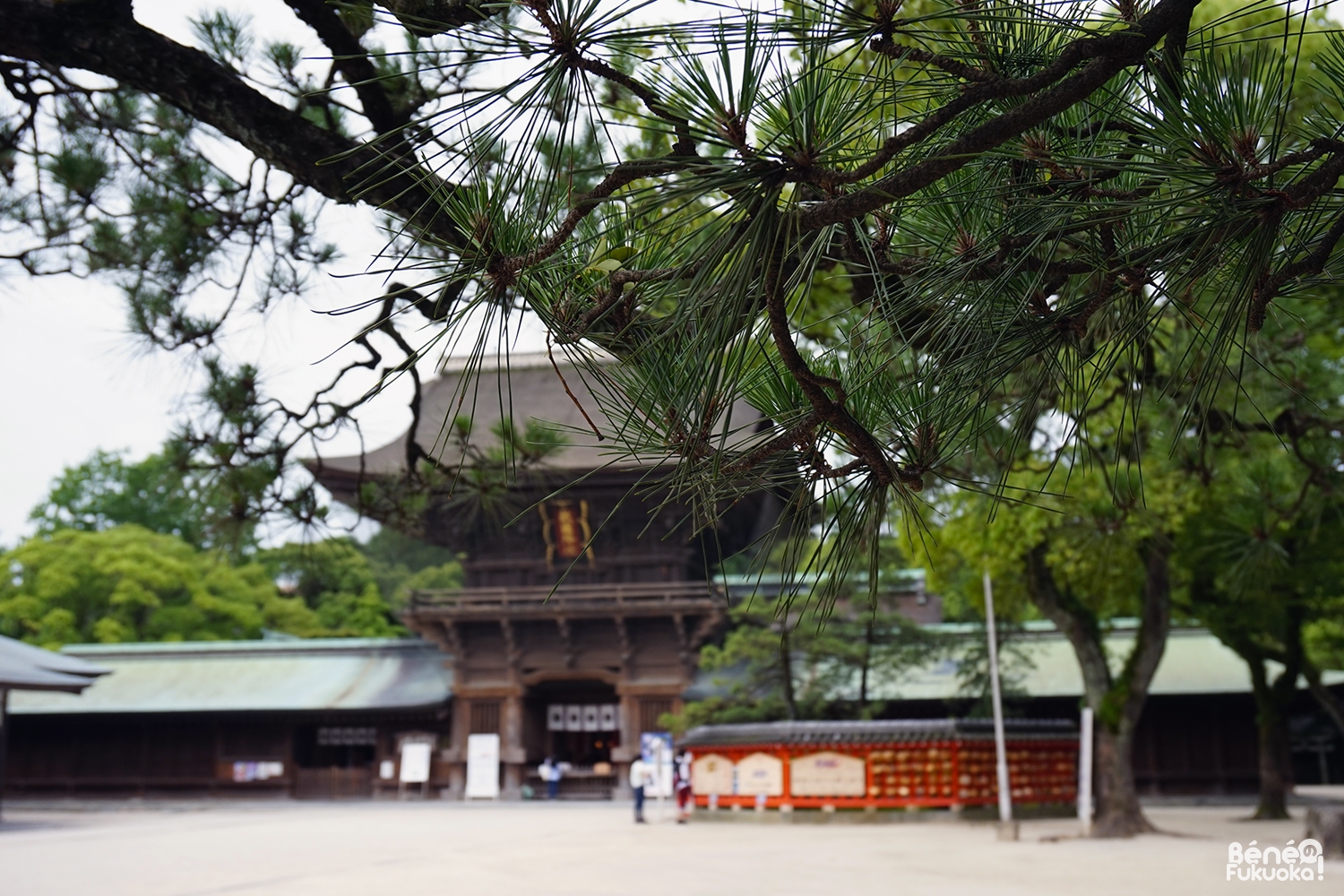 Sanctuaire Hakozaki, Fukuo