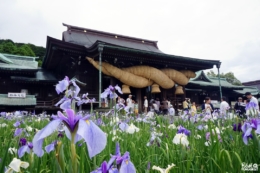 Sanctuaire Miyajidake, Fukuoka