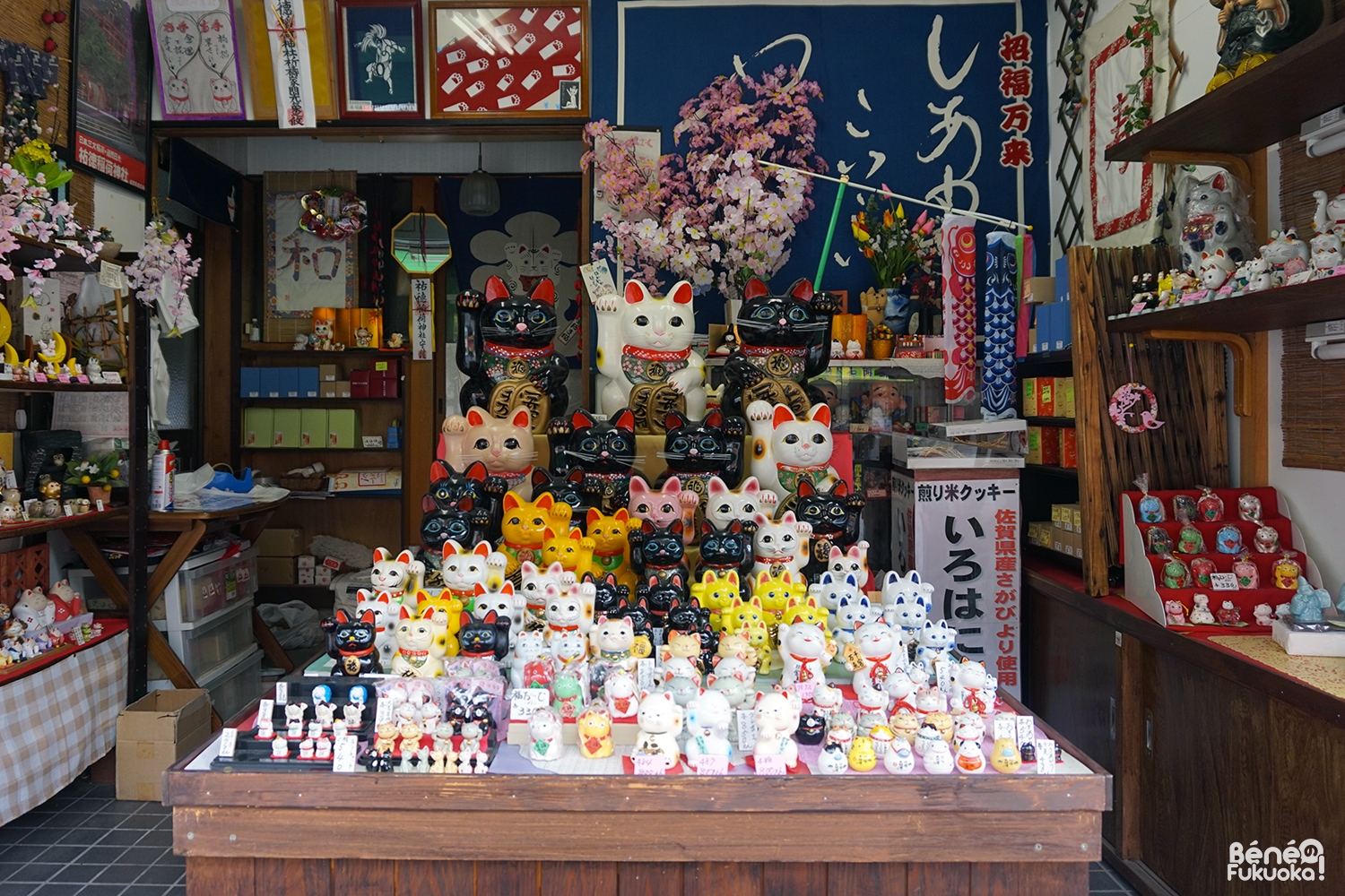 Manekineko, sanctuaire Yûtoku Imari, Saga