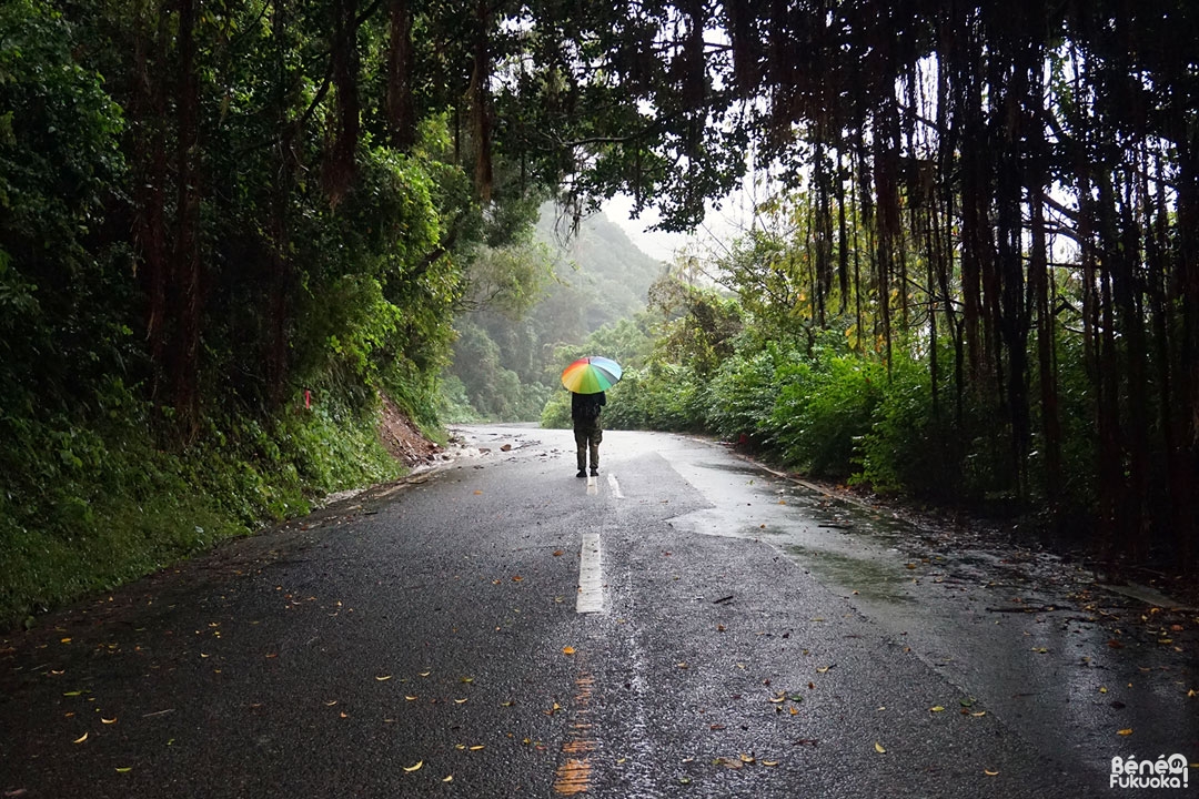 Parapluie multicolore, Minami-Ôsumi, Kagoshima