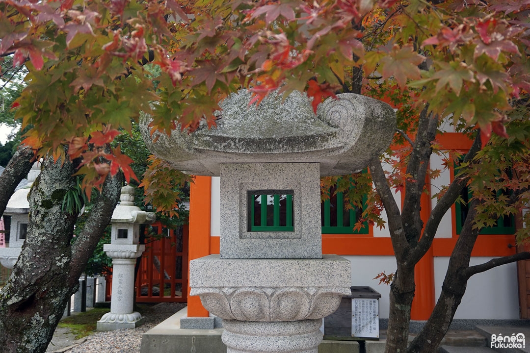 Lanterne japonaise et momiji, sanctuaire Momiji Hachimangû, Fukuoka