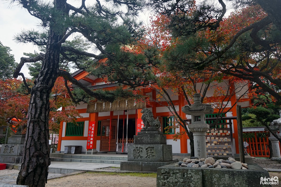 Sanctuaire Momiji Hachimangû, Fukuoka