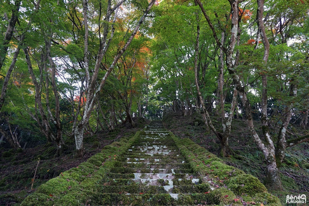 Sanctuaire Mitama, Yabakei