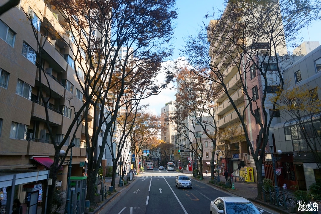 L'avenue Kokutai vue depuis le Fukuoka Open Top Bus