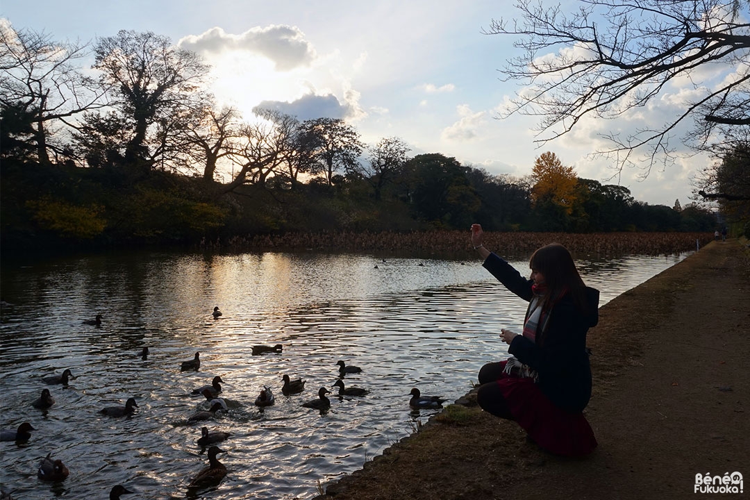 Le parc Maizuru au coucher du soleil, Fukuoka