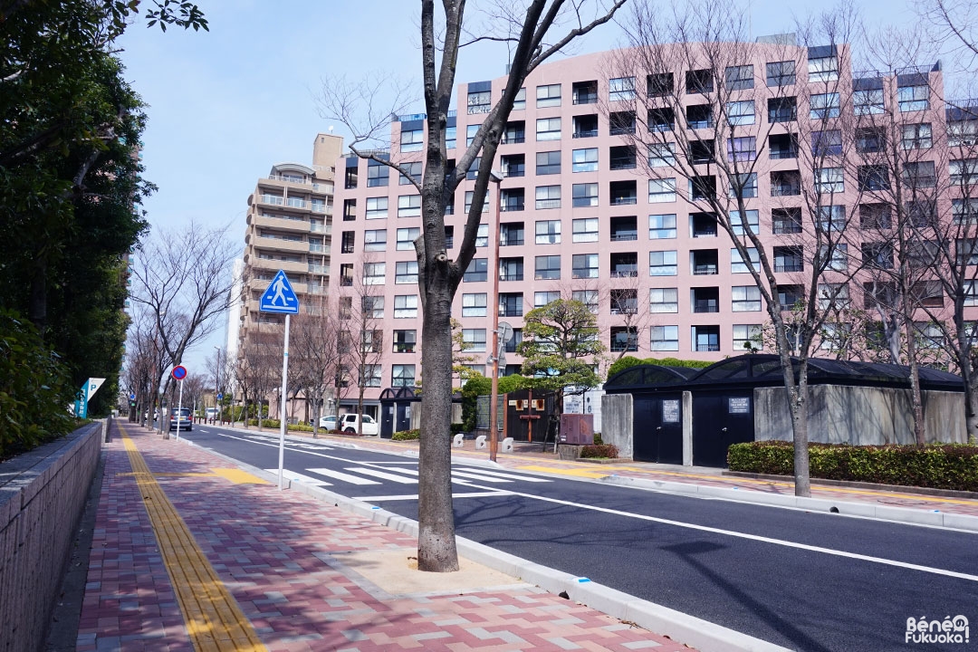 Momochihama, le quartier de la tour de Fukuoka