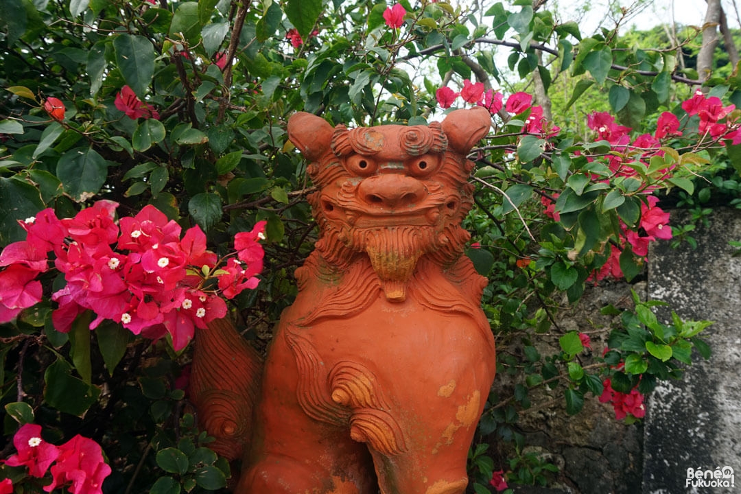 Shîsâ, Miyakojima