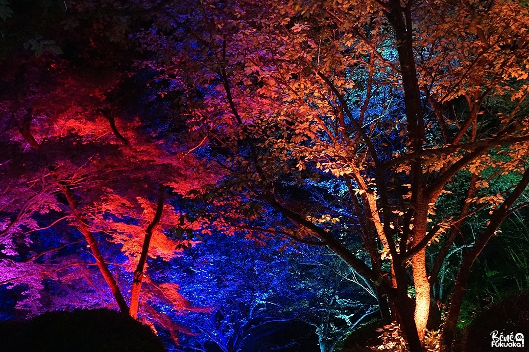 Exposition teamLab: A Forest Where Gods Live, jardin Mifuneyama Rakuen, Takeo