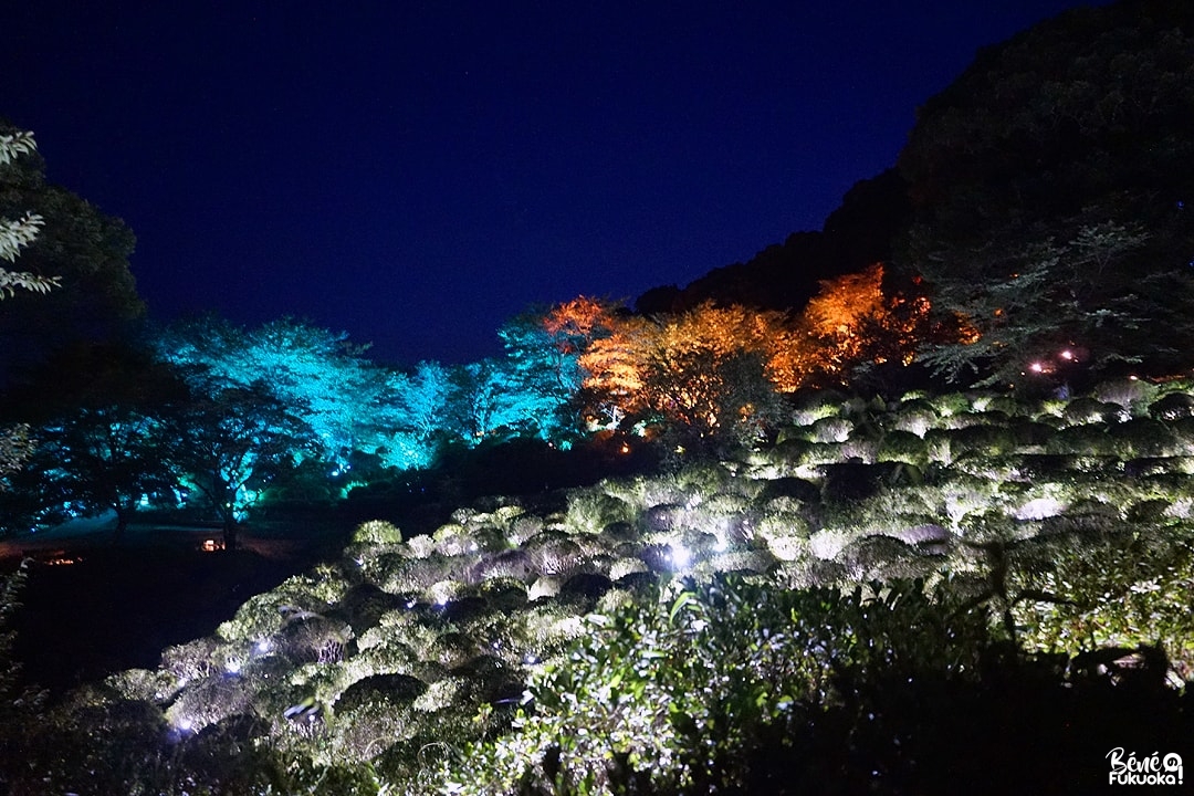 Exposition teamLab: A Forest Where Gods Live, jardin Mifuneyama Rakuen, Takeo