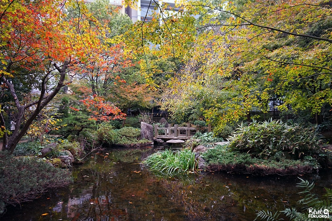 Érables au jardin Rakusuien de Fukuoka