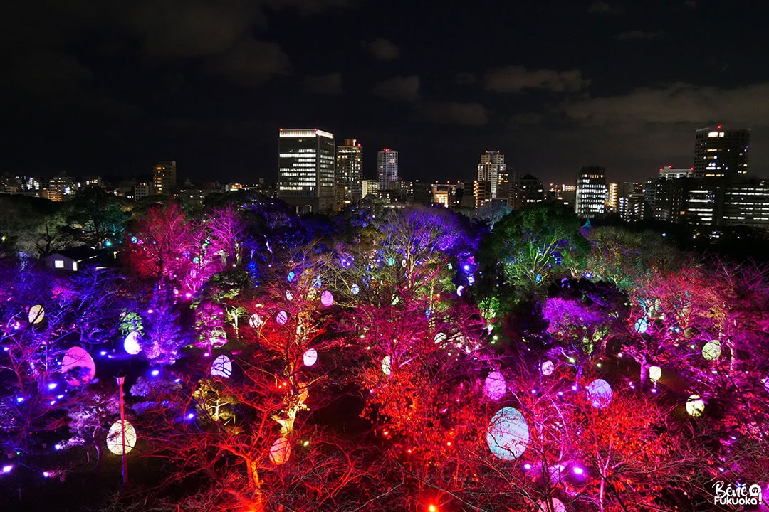 Exposition teamlab au château de Fukuoka