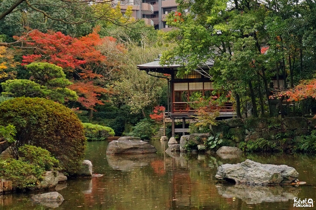 Érables au jardin Yûtsentei de Fukuoka