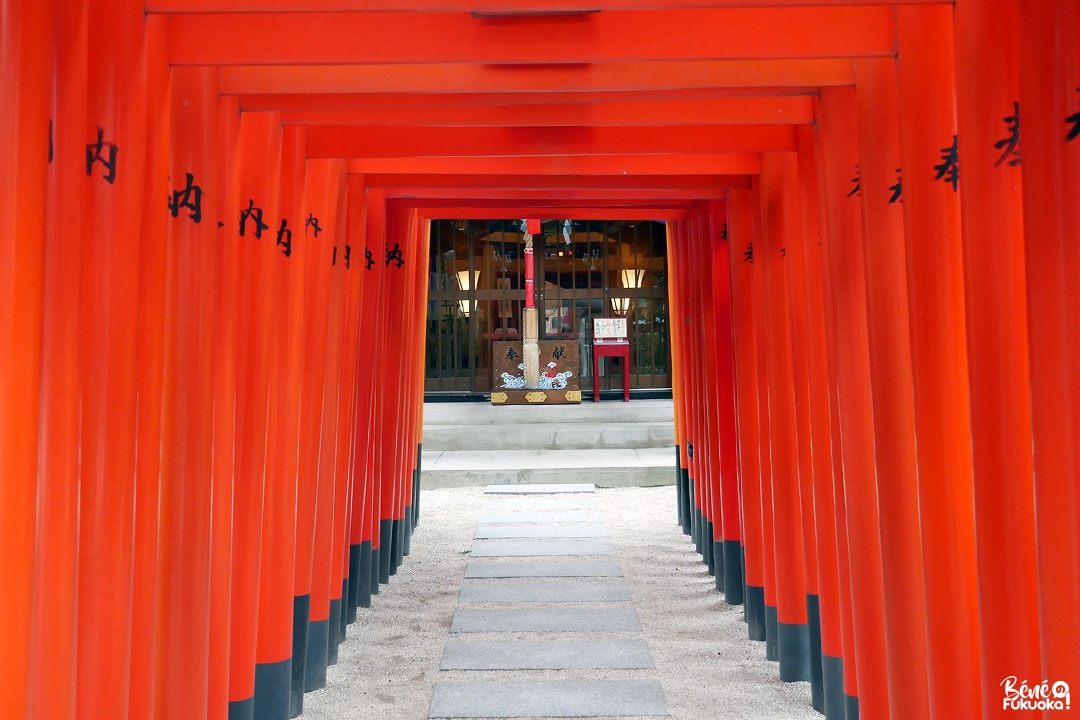 Allée de torii, sanctuaire Kushida, Fukuoka
