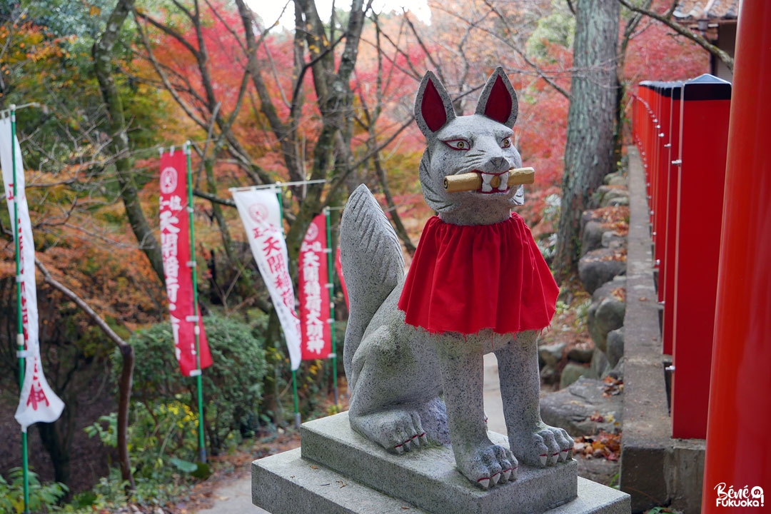 Sanctuaire Tenkai Inari de Dazaifu, Fukuoka