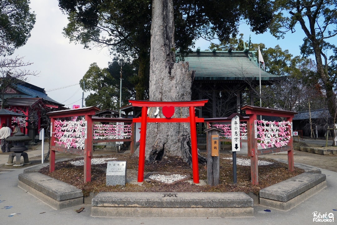 Sanctuaire Koinoki, ville de Chikugo, Fukuoka